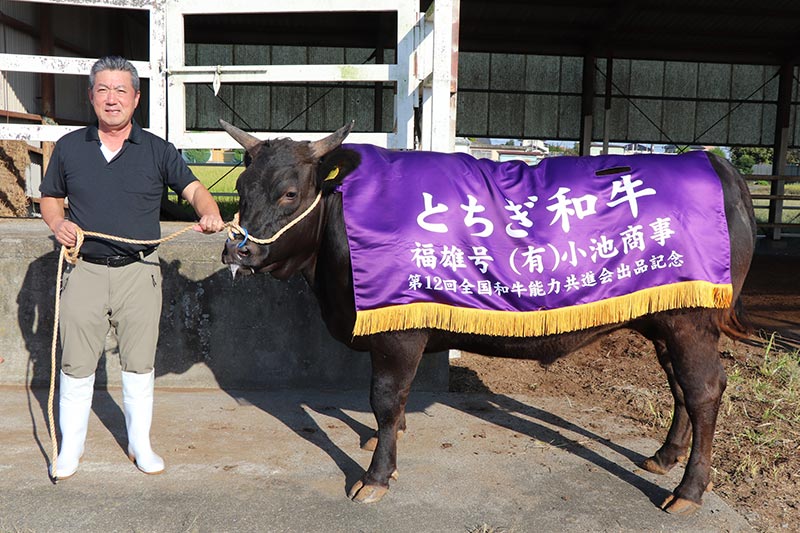 第12回全国和牛能力共進会鹿児島大会